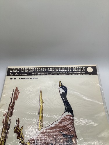 1983 NEW NOS Decorcal Canada Goose Sports & Wildlife Decal W-14 Vintage - Picture 3 of 4