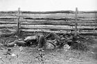 New 5x7 Civil War Photo: Dead of the Stonewall Brigade, Antietam - Sharpsburg