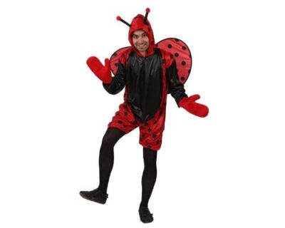 Costume Da Coccinella Adulto Xl