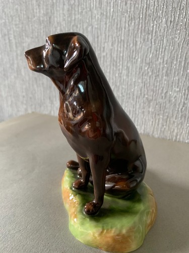 DOG THE CHOCOLATE LABRADOR SEATED ROYALE STRATFORD CHINA PERFECT - Picture 5 of 7