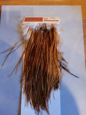 !!!!!!!!!!!!!!  WHITING Pro Grade Saddle Barred Dark Ginger !!!!!!!!!!!