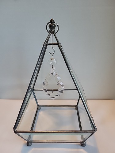 Pyramide abgeschrägt Klarglas Kuriositäten Terrarium hängend oder Tischplatte massiv - Bild 1 von 8