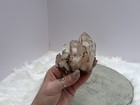 Foto 7 di 9
