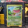 Carnivine POP Series 8 Promo Pokémon TCG 7/17 Uncommon