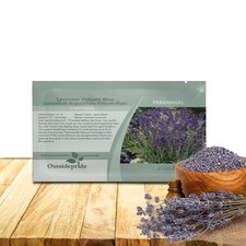 2000 Seeds Lavender Hidcote Drought Tolerant Herb Garden Plants For Xeriscaping