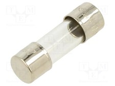 5x15mm 250VAC Fuse: fuse quick blow glass