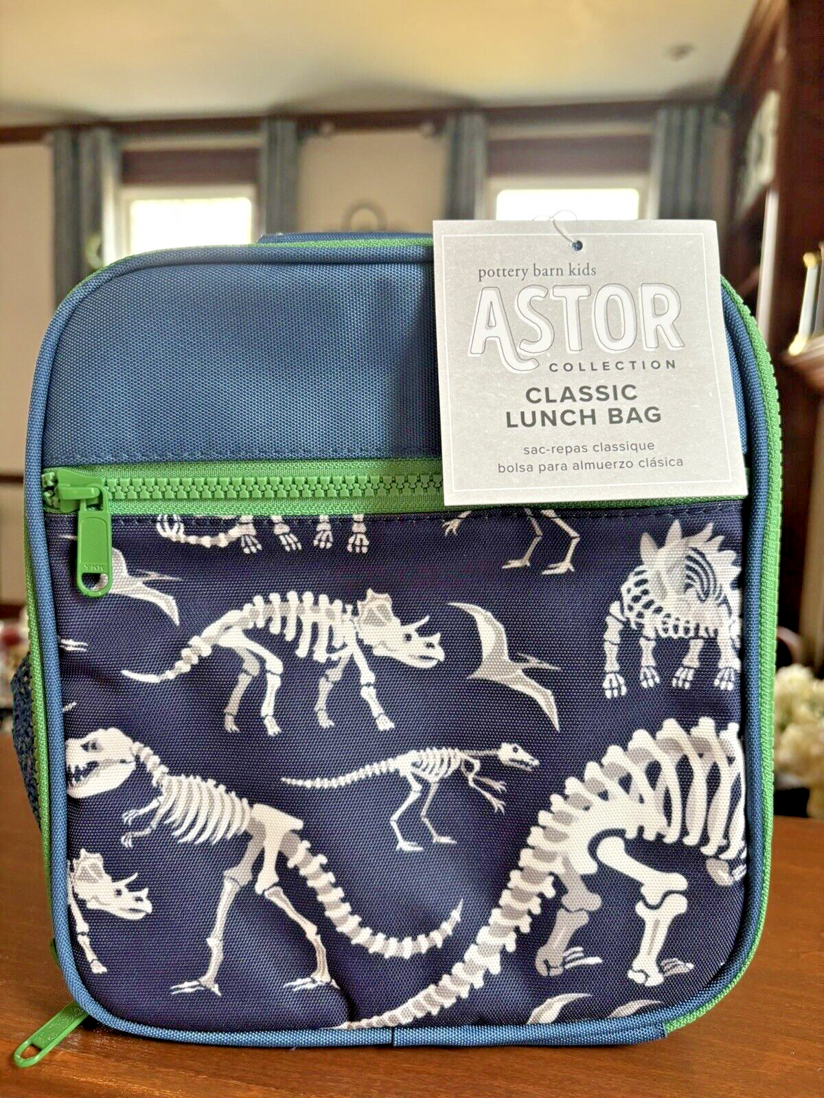 PONY Scuola Disney Pottery Barn Dinosauro Jurassic PRANZO borsa spazio ragazzo viaggio pre k.