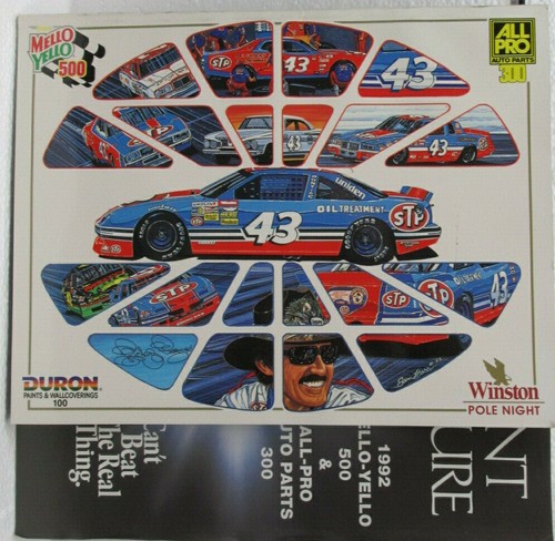 NASCAR SOUVENIR TRACK RACING PROGRAMS YOUR CHOICE SOME WITH STARTING LINEUP - Foto 23 di 25