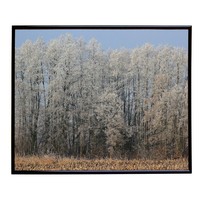 Polished Metal 16x20 Picture Frame Polished Metal 16x20 Picture Frame