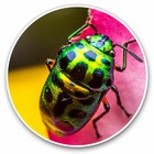 2 x Vinyl Stickers 20cm - Colorful Bug Insect Flower Cool Gift #16631