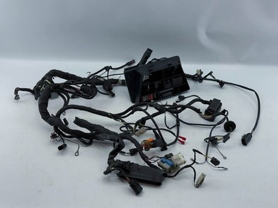 BMW R1150R Haupt Kabelbaum Main Wiring Loom Harness 7685384 (9) 04'