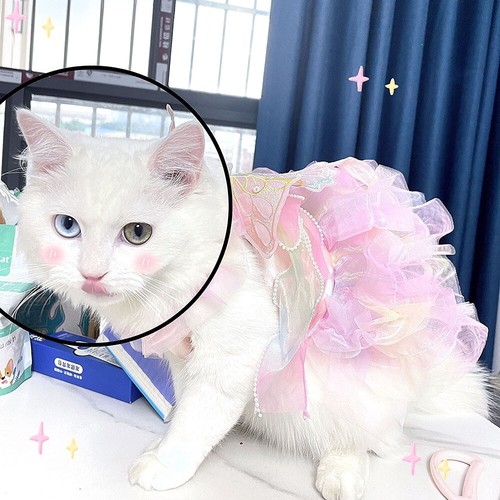 Dog Cat Princess Dress Pet Puppy Clothes Butterfly Lace Dress For Birthday Party - Picture 16 of 33