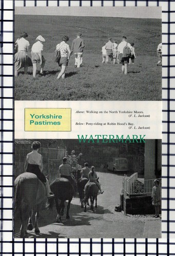 C6616) Robin Hood's Bay Ponyreiten - 1969 Steckling