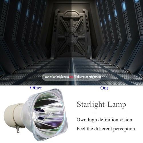 NUOVA LAMPADA PROIETTORE LAMPADINA PER VIEWSONIC PJD7828HDL 7831 PJD7720HD RLC-100 RLC100 - Foto 5 di 6