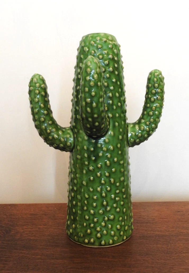 Serax Potteries Green Cactus Decorative Vase
Opens in a new window or tab