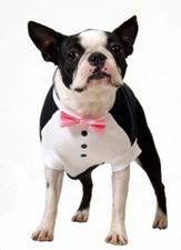 Dog Tuxedo for size M dogs. 14 1/2" Long with Pink Bow Tie