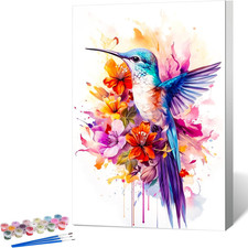 Framed Paint by Numbers Kit for Adults Beginner Hummingbird, Adult Paint by Numb