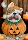 Blue Sky Clayworks Halloween French Bulldog In Pumpkin NEW Authorized Retailer