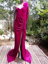 FASHION NOVA WOMEN'S FUCHSIA CRANBERRY LONG VELVETEEN OSTRICH FEATHER DRESS / L