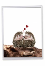 1 Big Valentine's Day Greeting Card - From The Hedge Hearts-I J6541IVDG