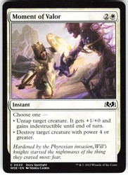 Moment of Valor #20 Common Wilds of Eldraine MTG