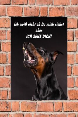 Schild Hund  Ich weiß nicht ob Du mich siehst aber ich sehe Dich!