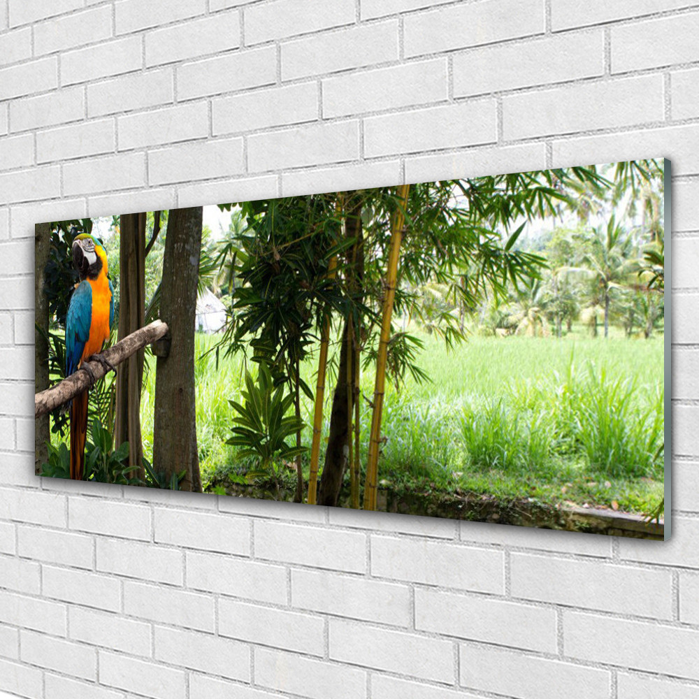 Tableaux sur verre avec arbres et perroquet de 125x50 cm pour illuminer le salon
