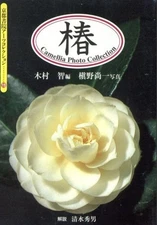 Camellia Tsubaki Book Kyoto Shoin Arts Collection Japanese Varieties Photo