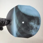 BEATLES LOVE ME DO X-Ray USSR Record Roentgen Bone Ribs Music Vinyl