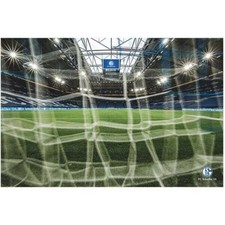 FC Schalke 04 Poster Veltins Arena Spielfeld farbig 90x60 Stadion S04 Fanartikel