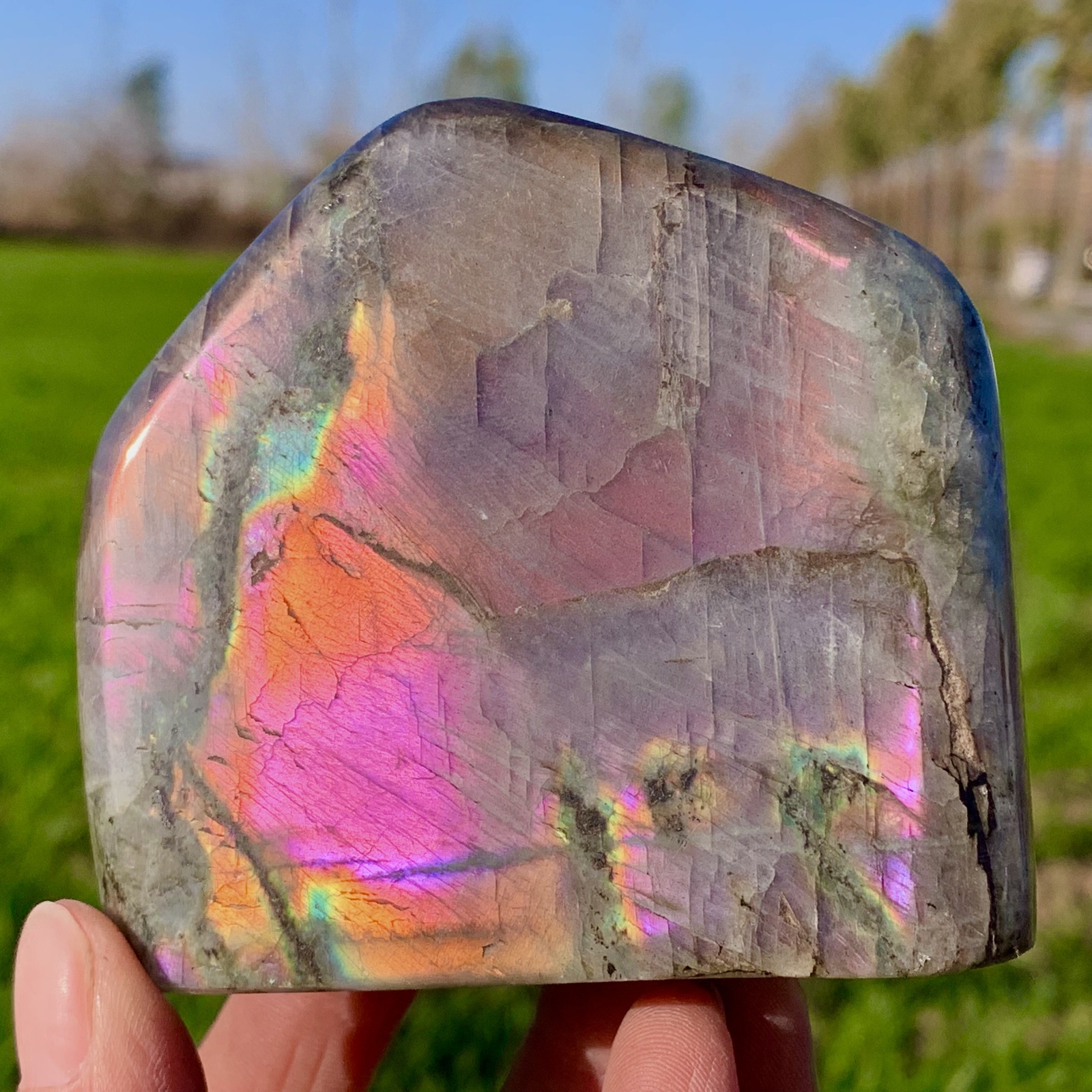 430G Natural Gorgeous Rainbow Labradorite Quartz Crystal Stone Specimen Healing