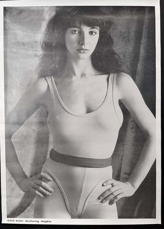 KATE BUSH - Rare Original 1980s UK Record Poster - Wuthering Heights