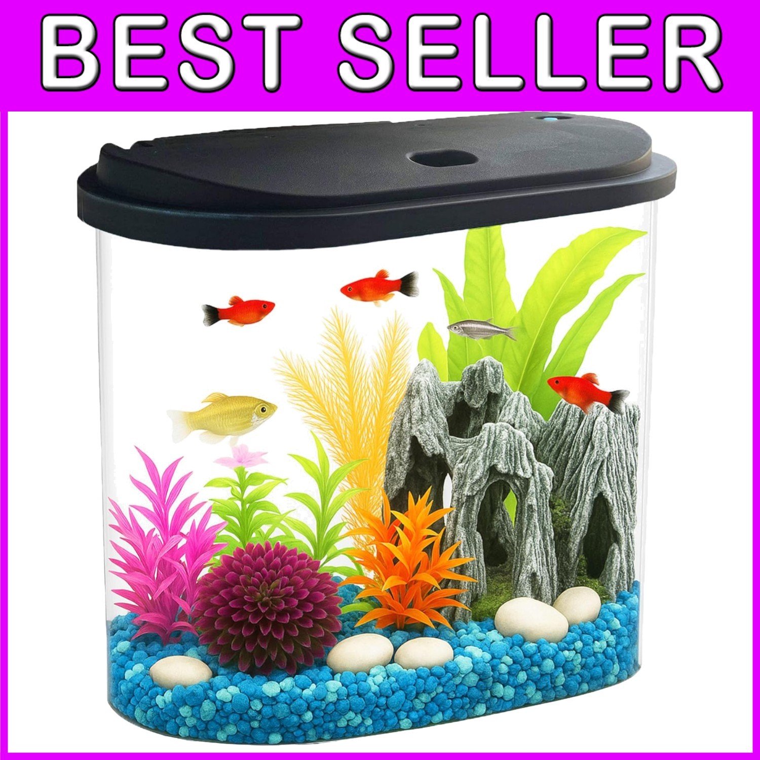 Elegant 4.5 Gallon Fish Tank with Timer & Energy-Efficient 7-Color LED Lighting