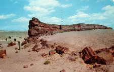 Postcard Big Log in the Petrified Forest Vintage c1961 with Garden Grove Cancel