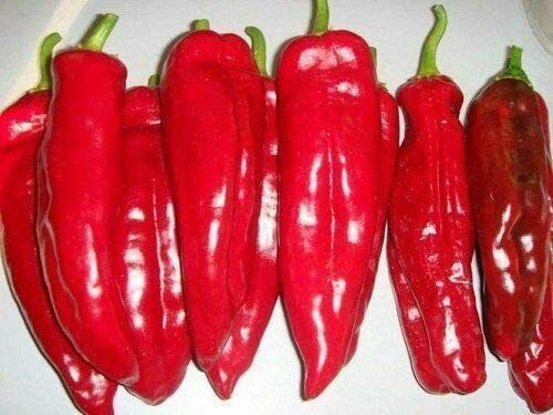 Pepper Kurtovszka Kapia - Paprika - 5+ seeds - BULGARIAN VARIETY! Ca 062 - Afbeelding 1 van 1