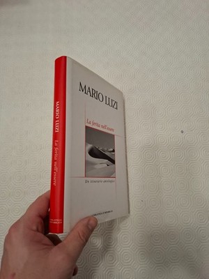 DIE WUNDE IM SEIN / MARIO LUZI / DIE BIBLIOTHEK DER REPUBLIK