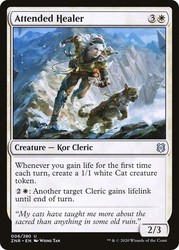 Attended Healer - 006/280 - Foil - Zendikar Rising
