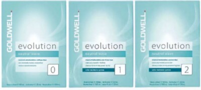 GOLDWELL EVOLUTION 0 or 1 or 2   perm kit for resistant natural colored hair