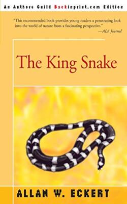 The King Snake                                                                 