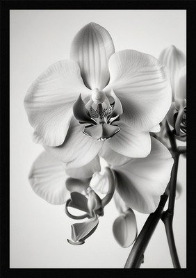 Vibrant Orchid Framed Wall Art Poster Canvas Print Picture