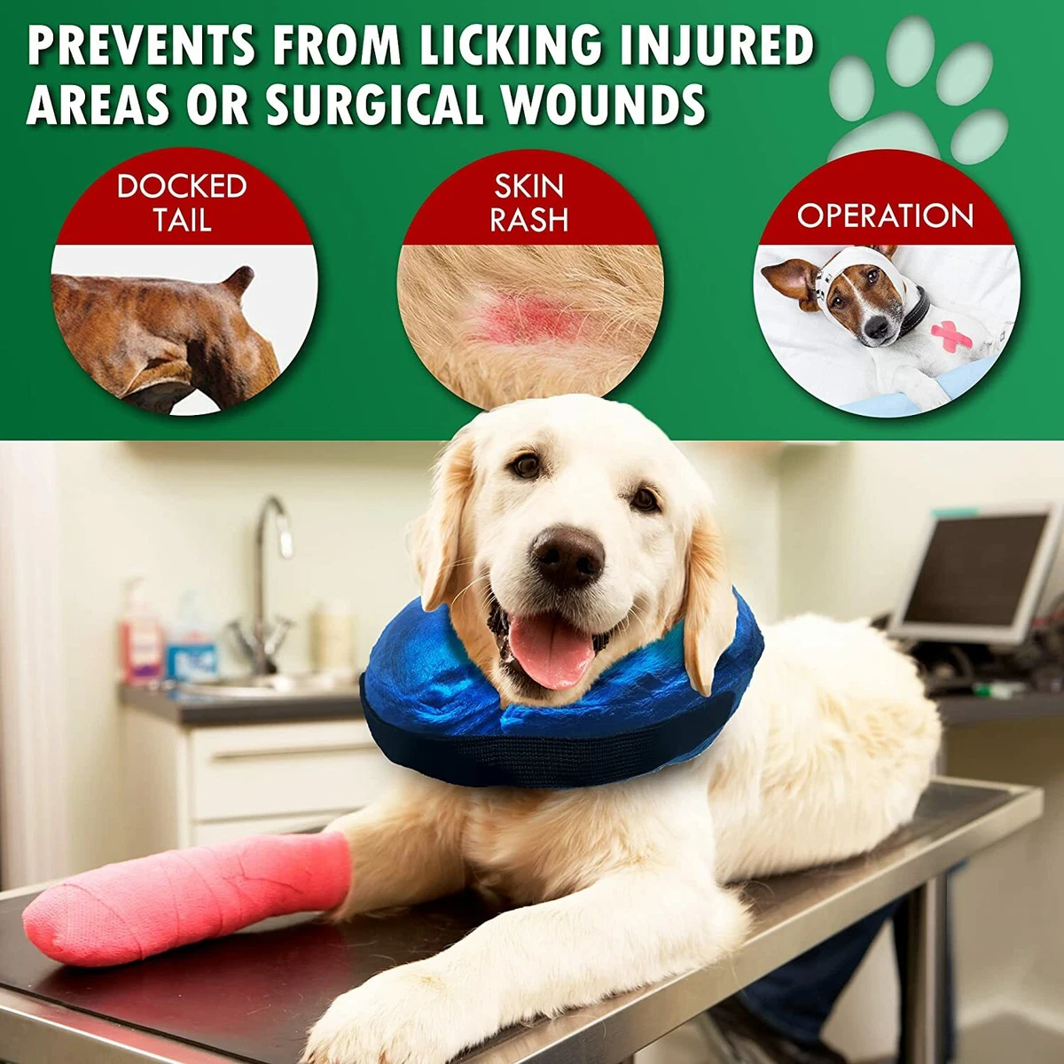 Comfortable dog cheap cone alternatives