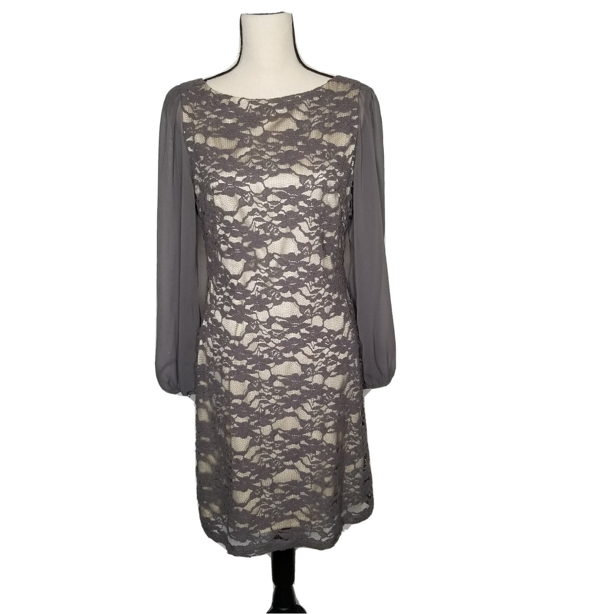 Eliza J Women's Shear Long sleeves Gray Lace Shift Dress Size 8