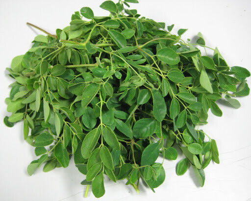 Moringa Oleifera Dried Leaf Leaves/Powder 100% Natural Pure Leaves