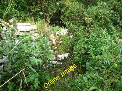 Photo 6x4 Does the footpath really go through there! Berthengam I eventua c2013