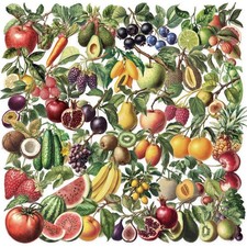 50Pcs Vintage Fruit and Vegetable Stickers, Waterproof Decals for Multicolor