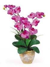 Nearly Natural Double Stem Silk Orchid Arrangement Flowers Ceramic Pot