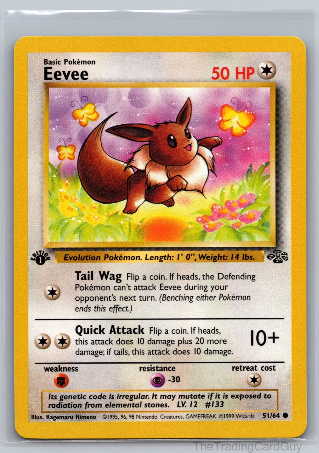 Eevee Common Jungle 1st Edition 51/64 NM