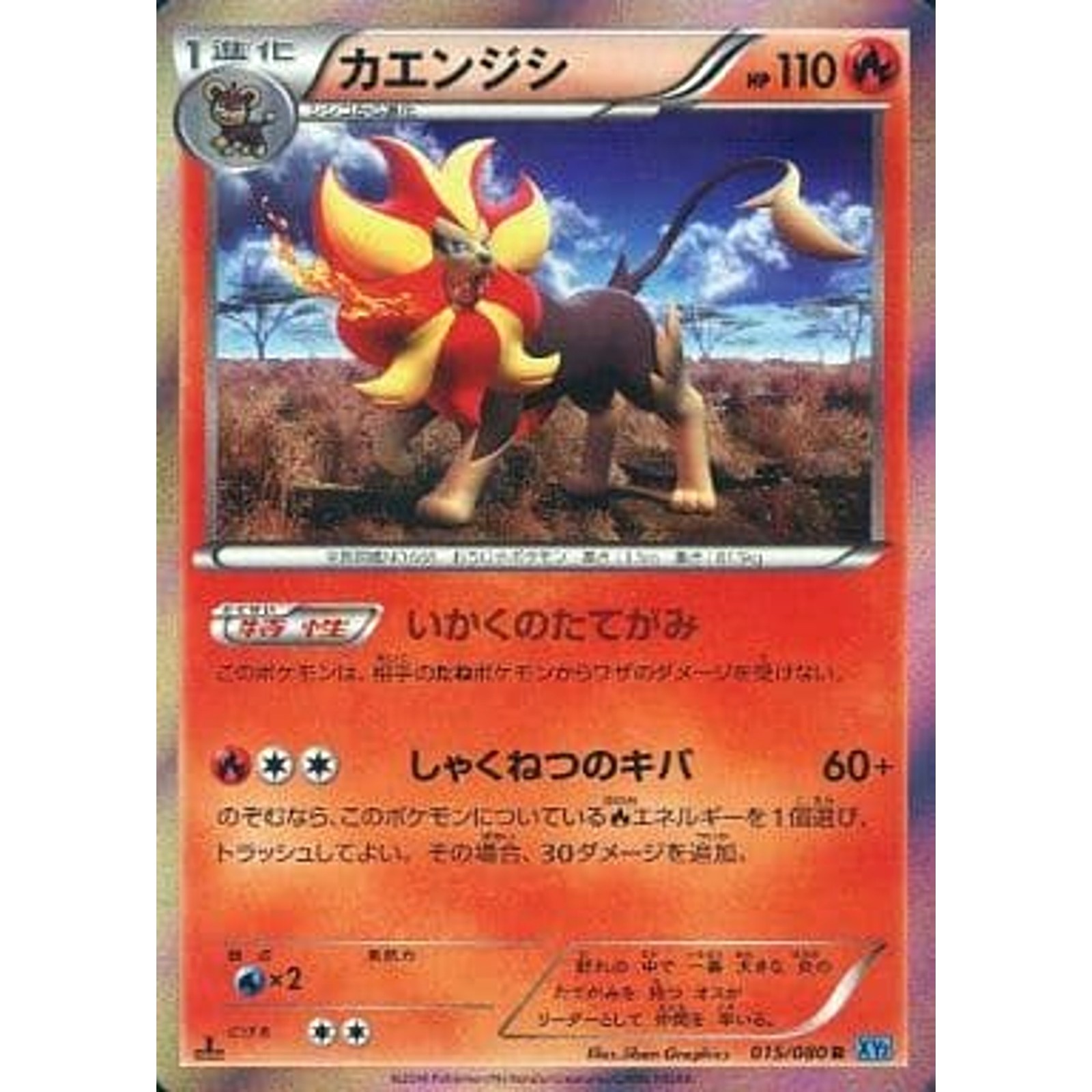 Pokemon Pyroar Holo R 015/080 XY2 Wild Blaze Japanese Card