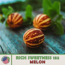 20 Rich Sweetness 132 Melon Seeds, Heirloom, Non-GMO, Genuine USA