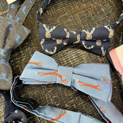 Janie & Jacks Adjustable Bow Ties 5 Designs Blue Collection For Kids - Picture 3 of 9